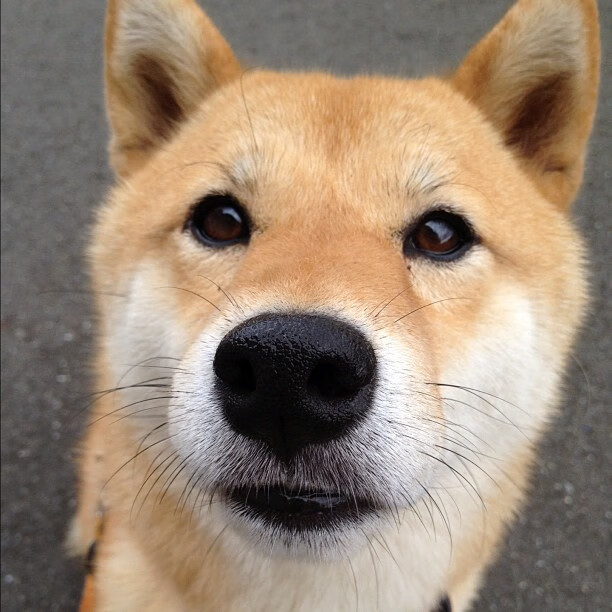 开云入口-CBA推动俱乐部文化建设塑造独特城市标签，cba俱乐部名称大全